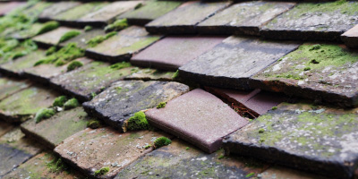 Colston Bassett roof repair costs